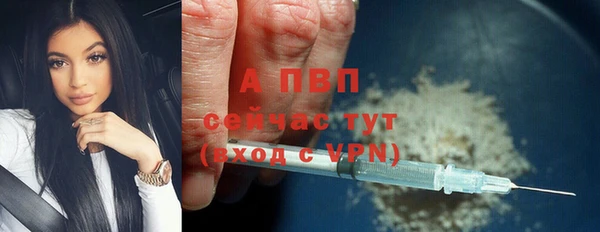 стафф Лабытнанги