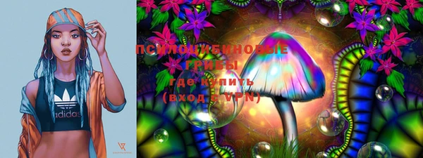 шишки Липки